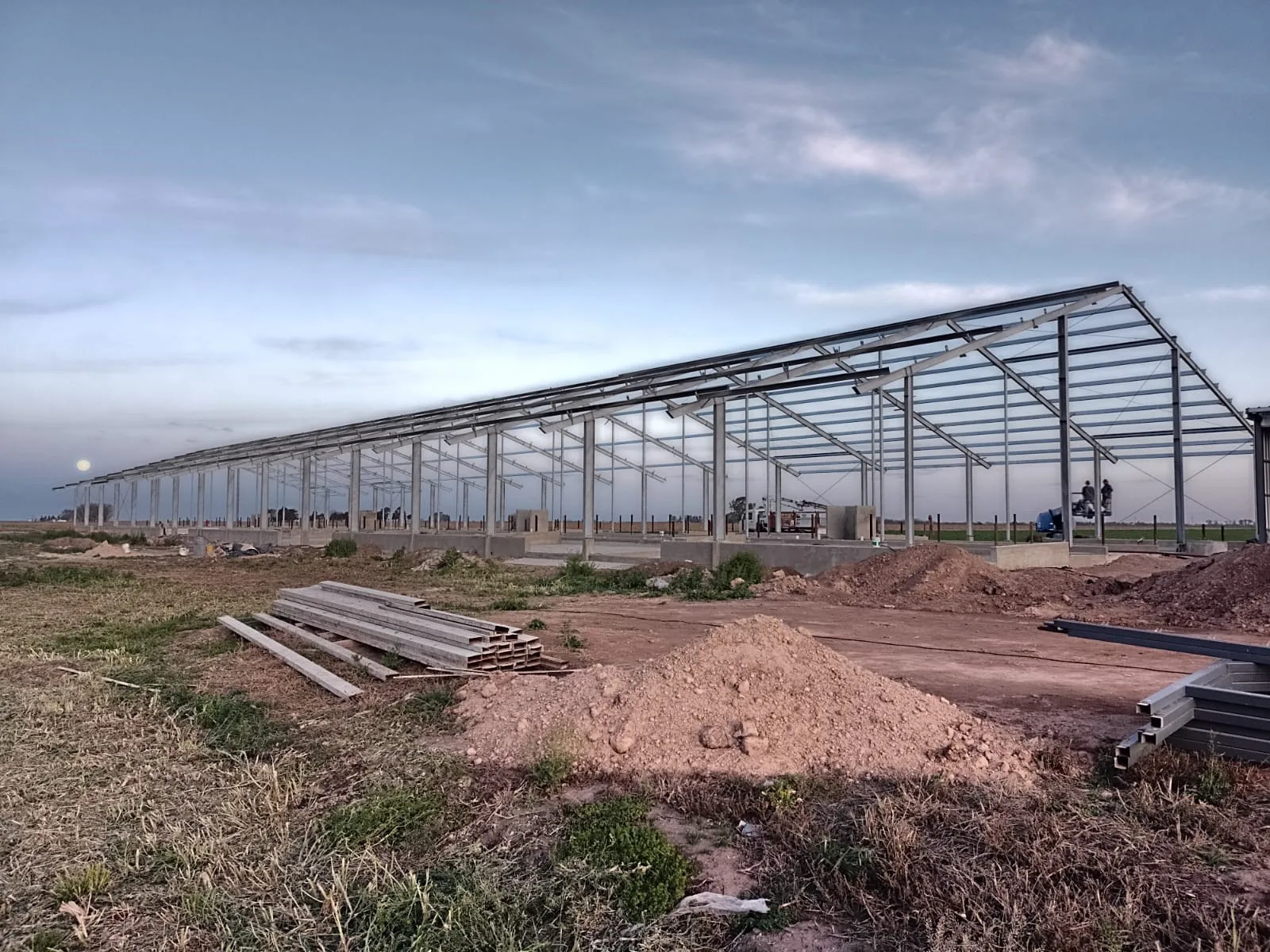 Estructura metálica del galpón de crianza montada al anochecer, con los perfiles de la cubierta en ejecución y material de obra acopiado