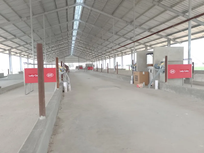 Interior terminado con los alimentadores automáticos Lely Calm instalados a lo largo de la calle de crianza