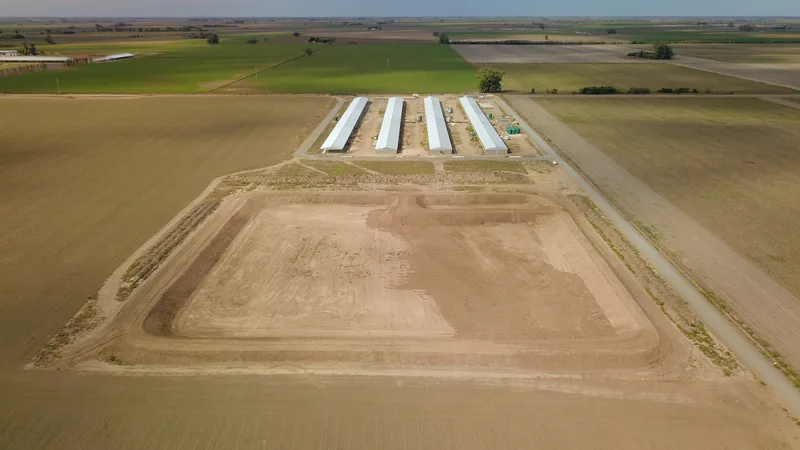 Vista aérea del establecimiento: los cuatro galpones de engorde terminados al fondo y la plataforma de suelo compactado del sector en obra en primer plano