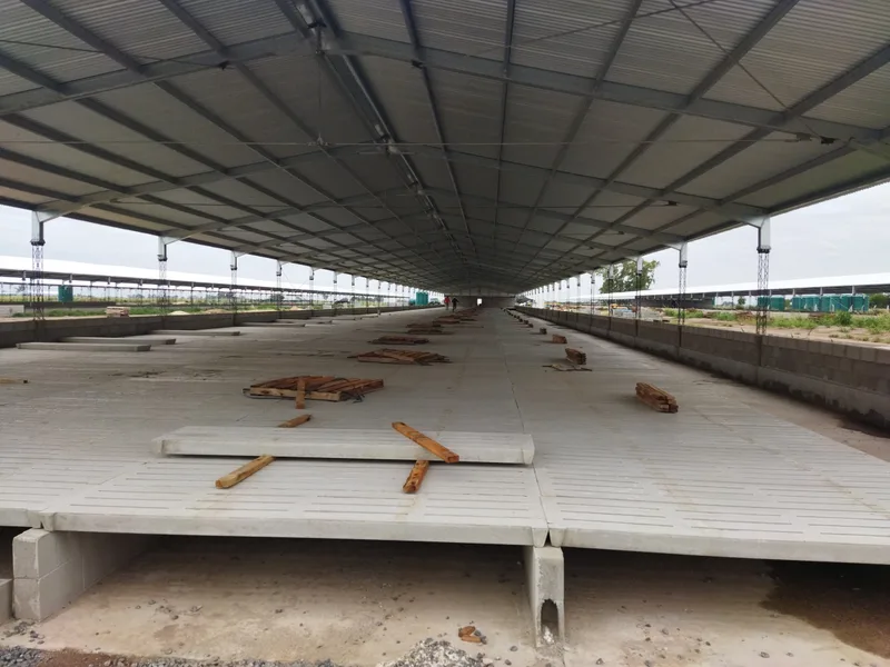 Interior de un galpón de engorde con los slats de hormigón premoldeados ya colocados sobre los canales de efluentes
