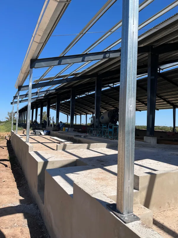 Muretes de hormigón de las fosas de ordeñe y columnas metálicas galvanizadas de la estructura, contra el cielo despejado